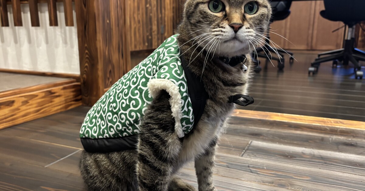 写真 2025-11-26 16 34 58